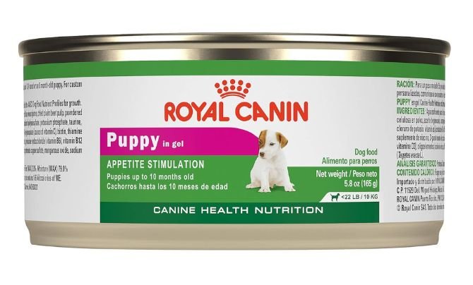 Royal Canin Puppy Wet Dog Food – Canine Health Nutrition in Gel
