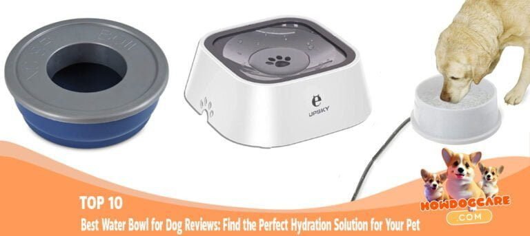TOP 10 Best Water Bowl for Dog Reviews Find the Perfect Hydration Solution for Your Pet