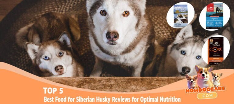 TOP 5 Best Food for Siberian Husky Reviews for Optimal Nutrition