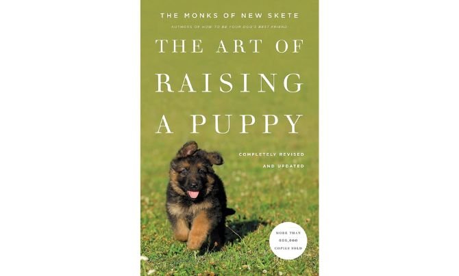 The Art of Raising a Puppy Dog Training Books