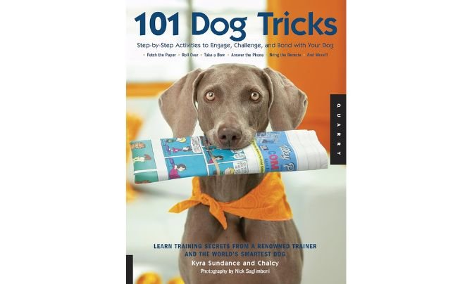 The Most Amazing Silly Dog Tricks