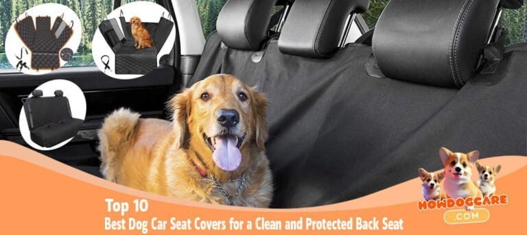 Top 10 Best Dog Car Seat Covers for a Clean and Protected Back Seat