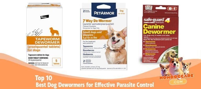Top 10 Best Dog Dewormers for Effective Parasite Control