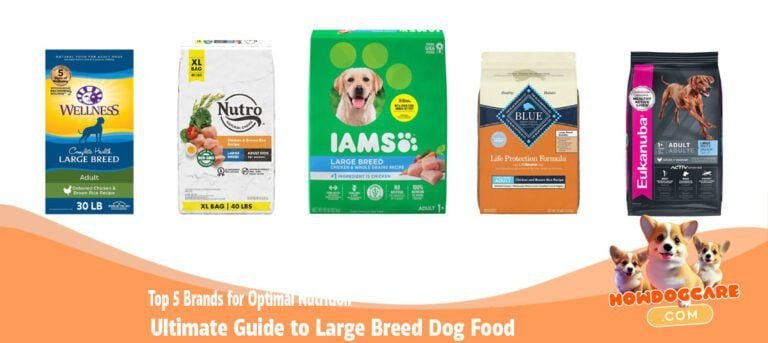 Top 5 Brands for Optimal Nutrition Ultimate Guide to Large Breed Dog Food