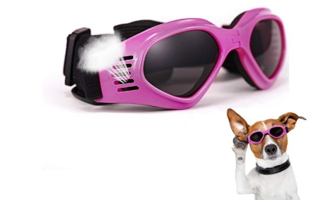Vevins Dog Goggles – Medium & Large (Pink)