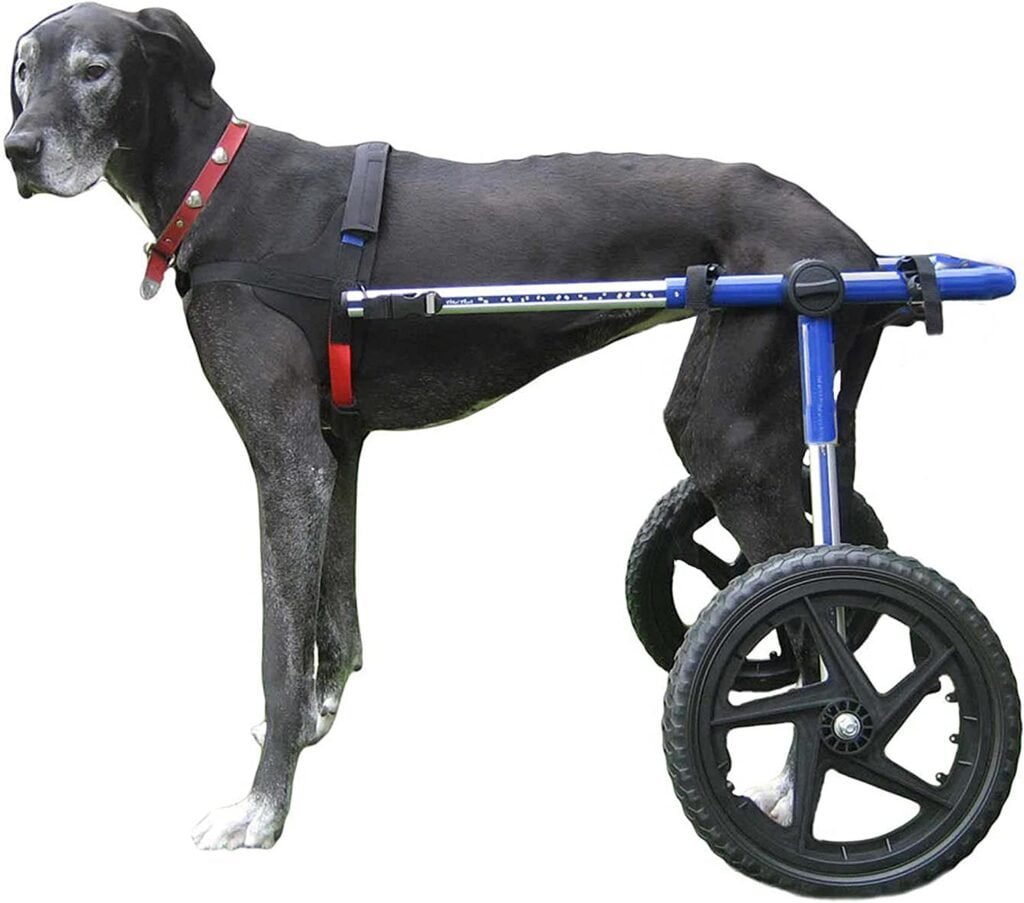 Walkin' Wheels Large Dog Wheelchair - Enhance Your Dog's Mobility with the Best Wheelchair for Back Legs