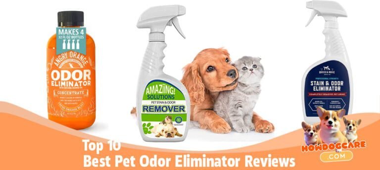 Top 10 Best Pet Odor Eliminator Reviews