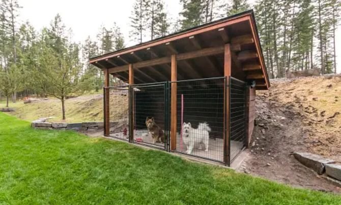 How-to-ensure-maximum-physical-safety-dog-kennel-New-1