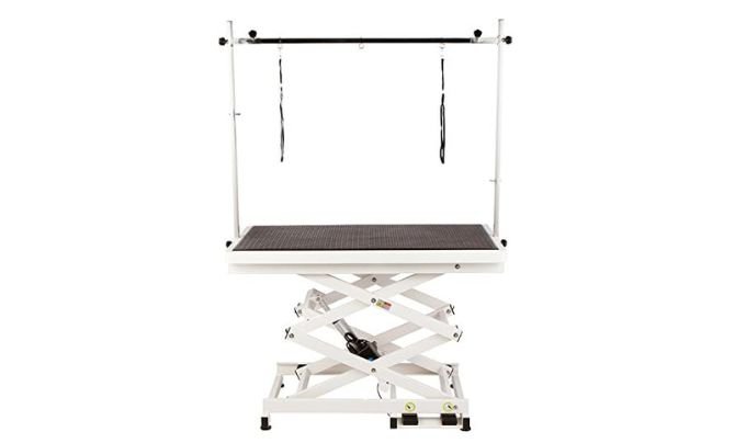 Flying Pig Super-Low Electric Dog Grooming Table