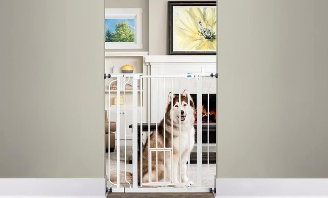 Top 10 Best Indoor Dog Gates Reviews-2