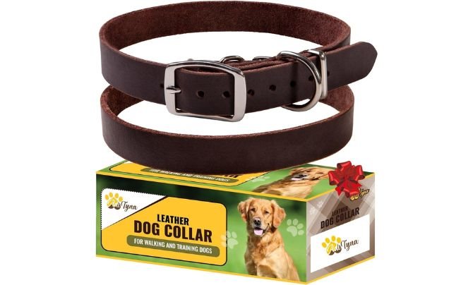 ADITYNA Leather Dog Collar for Extra-Large Dogs