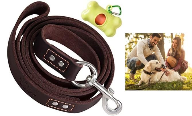 ADITYNA Leather Dog Leash – Best Leather Leash for Strength & Durability