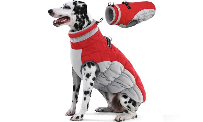 AOFITEE Dog Coat Review – Best All-in-One Winter Jacket with Built-In Harness for Large Dogs