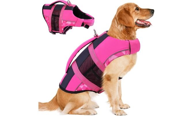 ASENKU Dog Safety Vest Review – Best Life Vest for Large Dogs in 2026