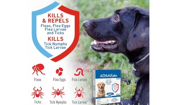 Adams Plus Flea & Tick Collar for Dogs