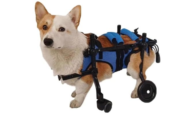 Aluminum Pet Wheelchair 4 Wheels Dog Wheelchair for Front and Rear Legs