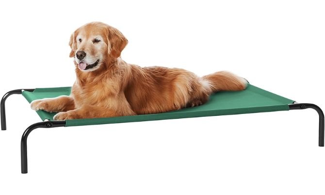 Amazon Basics Cooling Breathable Elevated Dog Bed Review – Best Budget Raised Dog Bed for Large Dogs