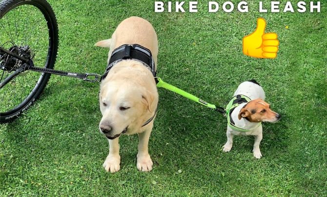 BIKE AND DOG - Dog Leash and Harness for Bicycle