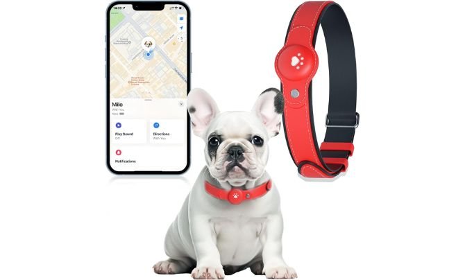 BONSO 2‑in‑1 GPS Tracker Collar