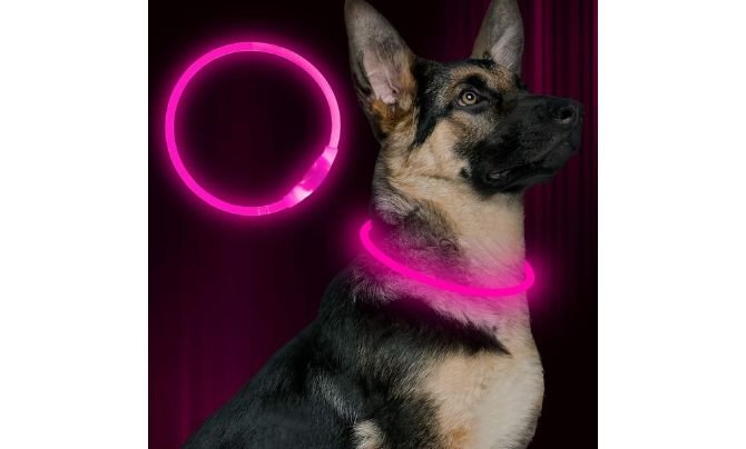 BSEEN LED Dog Collar — Best Flashing Dog Collar for Maximum Visibility on a Budget