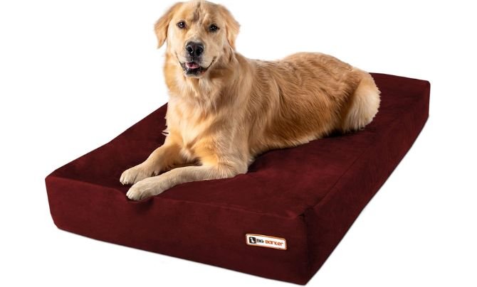 Barker Beds Sleek Dog Bed Review – Luxury Orthopedic Comfort for Large Dogs