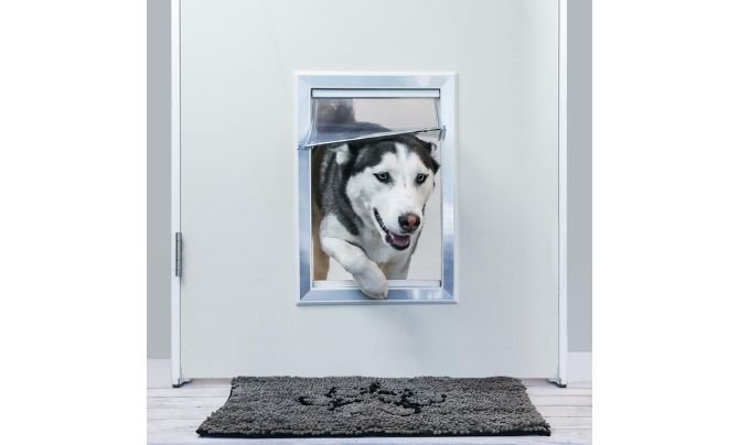 BarksBar Large Plastic Dog Door for Medium-Sized Dogs