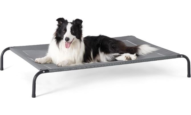 Bedsure Outdoor Elevated Dog Bed Review – Best Raised Dog Bed for Large Breeds