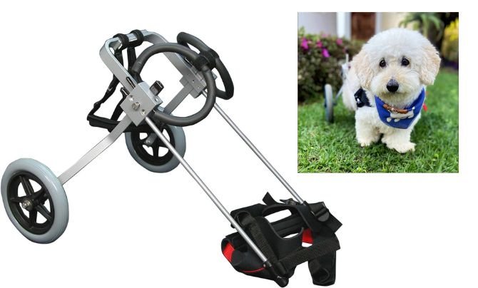 Best Friend Mobility Dog Wheelchair (Small Size) Review