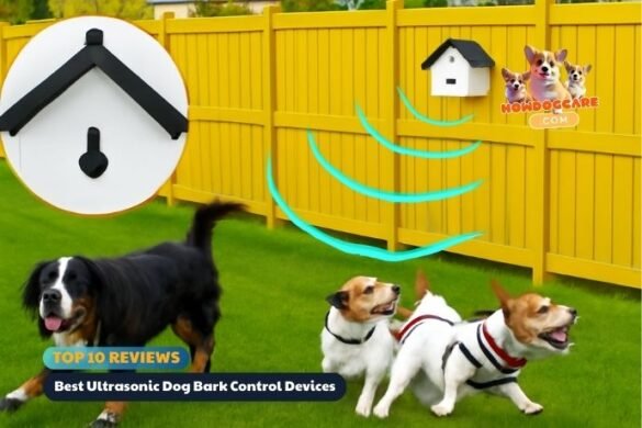 Best Ultrasonic Dog Bark Control Devices – Top 10 Expert Reviews