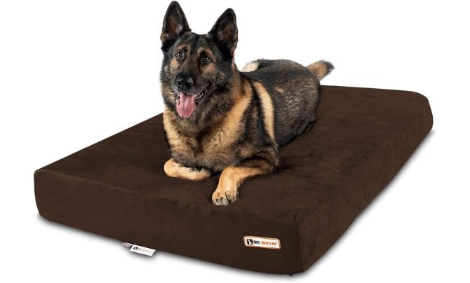 Big Barker Sleek Orthopedic Dog Bed