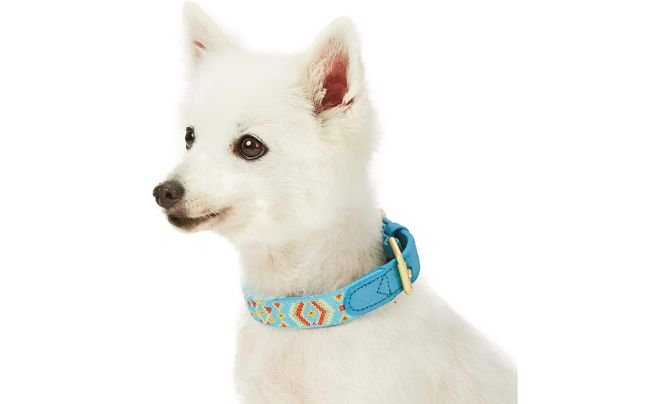 Blueberry Pet 3 Genuine Leather & Polyester Fabric Dog Collar