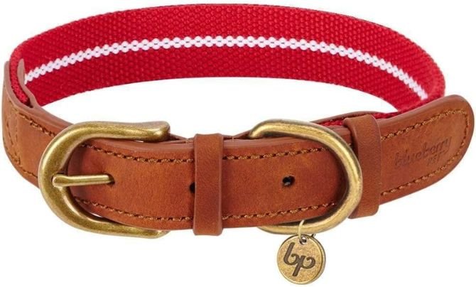 Blueberry Pet Soft & Comfy Genuine Leather & Polyester Combo Dog Collar