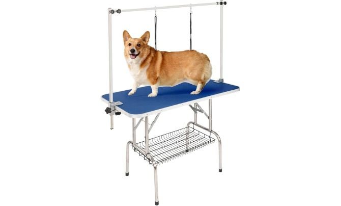 Bonnlo 32-Inch Pet Grooming Table Review