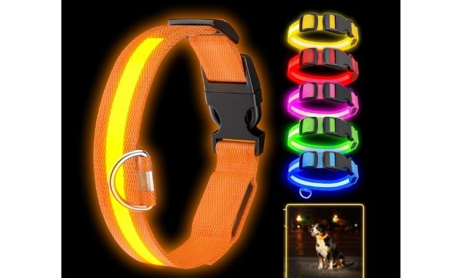 CEME LED Light Up Dog Collar — Best Waterproof Light-Up Collar for Night Safety
