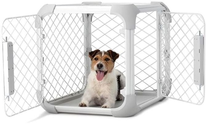 DIGGS Evolv Dog Crate