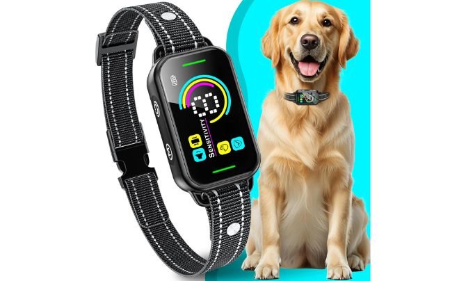 DINJOO Dog Bark Collar – Smart Anti Bark Collar for All Dog Sizes