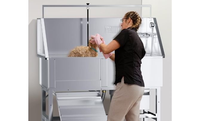 DYTREND 46" Stainless Steel Dog Washing Station