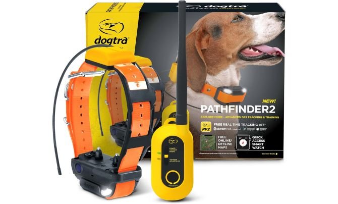 Dogtra Pathfinder 2 – Best Long-Range GPS Dog Tracker & Training Collar Combo