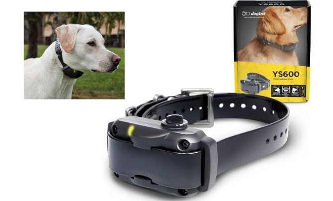 Dogtra YS600 Rechargeable Waterproof High-Output No Bark Collar