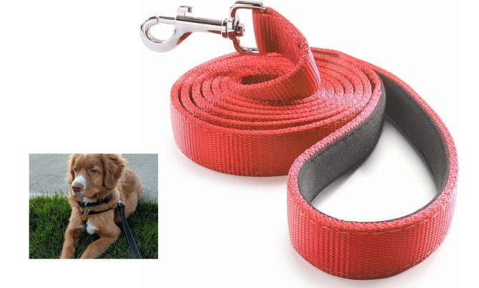 Dutchy Dog Leash – Best Heavy-Duty Dog Leash for Training and Everyday Walks