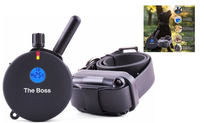 Educator E-Collar Humane Dog Training Collar — Best Dog Training Collar for Sensitive Dogs