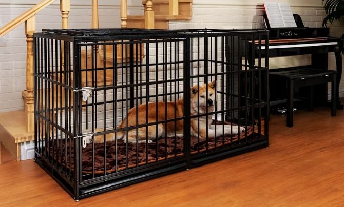 Flieghund 61" Extra Large Heavy Duty Dog Crate Review