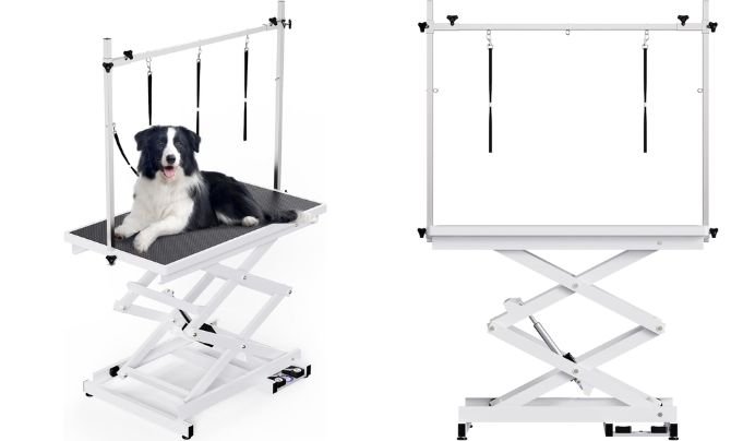 Flying Pig Heavy Duty Super-Low Electric Lift Dog Grooming Table