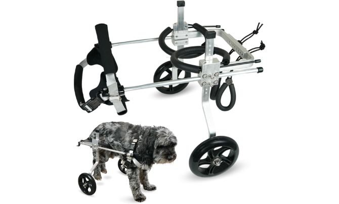 FurDrive Dog Wheelchair for Back Legs