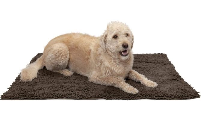 Furhaven 44" x 35" Highly Absorbent Dog Door Mat for Muddy Paws