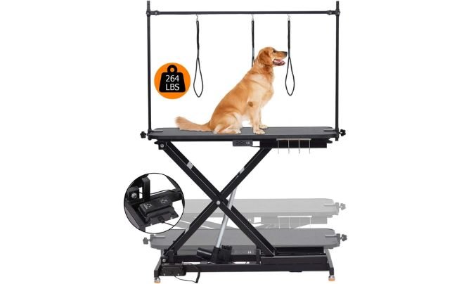 GAOMON 47″ Electric Dog Grooming Table