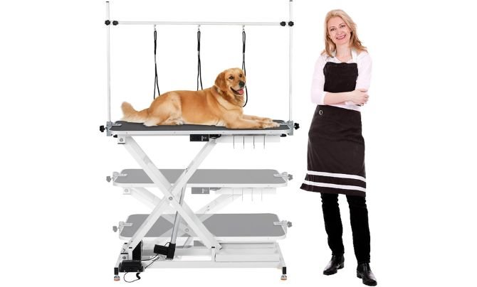 GarveeLife 47” Electric Lift Dog Grooming Table