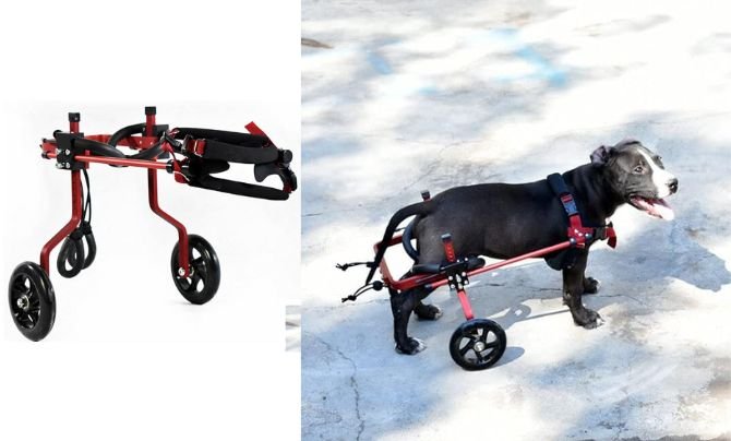 Generic Adjustable Dog Cart/Wheelchair Review