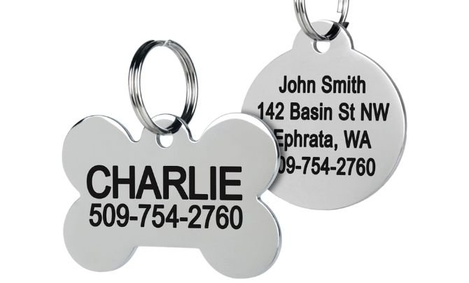 GoTags Stainless Steel Pet ID Tags