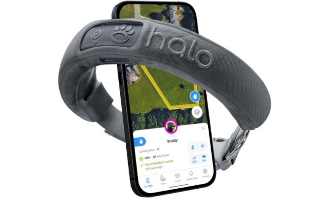 Halo Collar 3